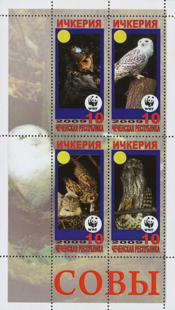 Owls