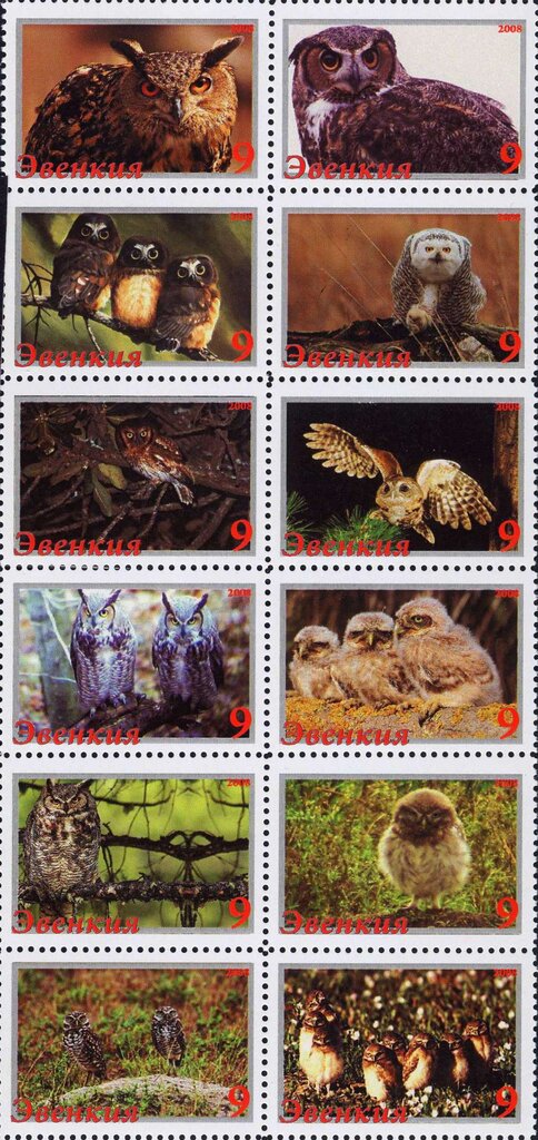 Owls