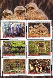 Mini Sheet, Owls, Cinderellas,  , Animals (Fauna), Birds, Birds of Prey, Owls