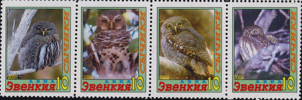 Owls