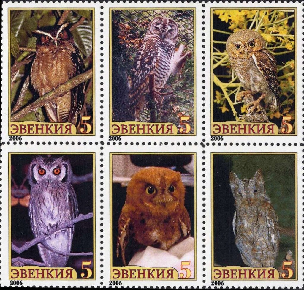 Owls
