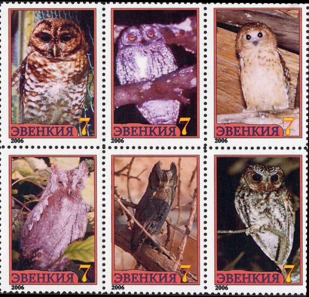 Owls