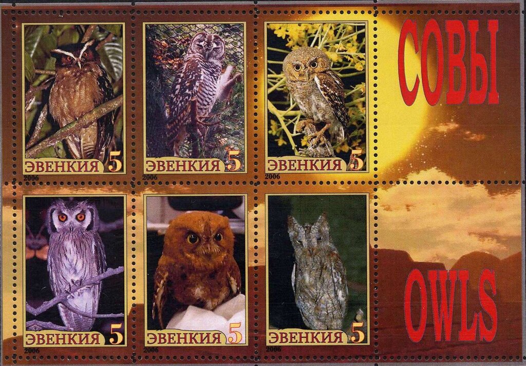 Owls