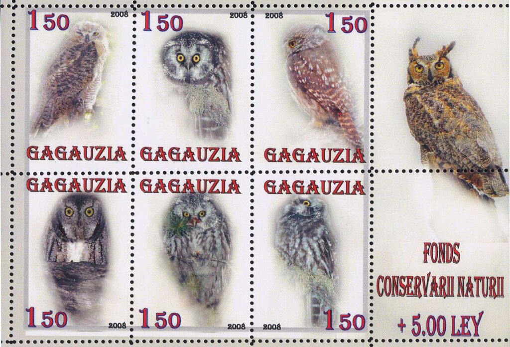 Owls