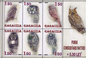 Mini Sheet, Owls, Cinderellas,  , Animals (Fauna), Birds, Owls