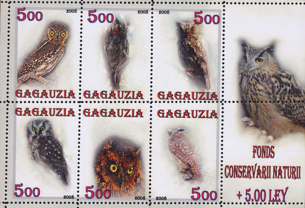 Owls