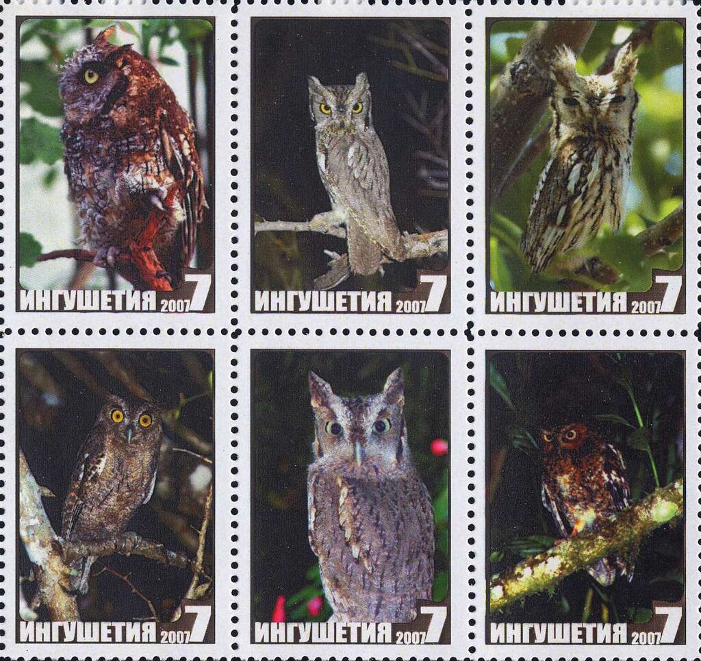 Owls