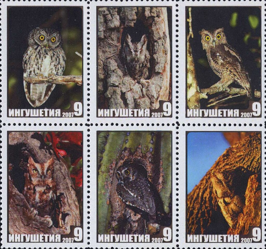 Owls