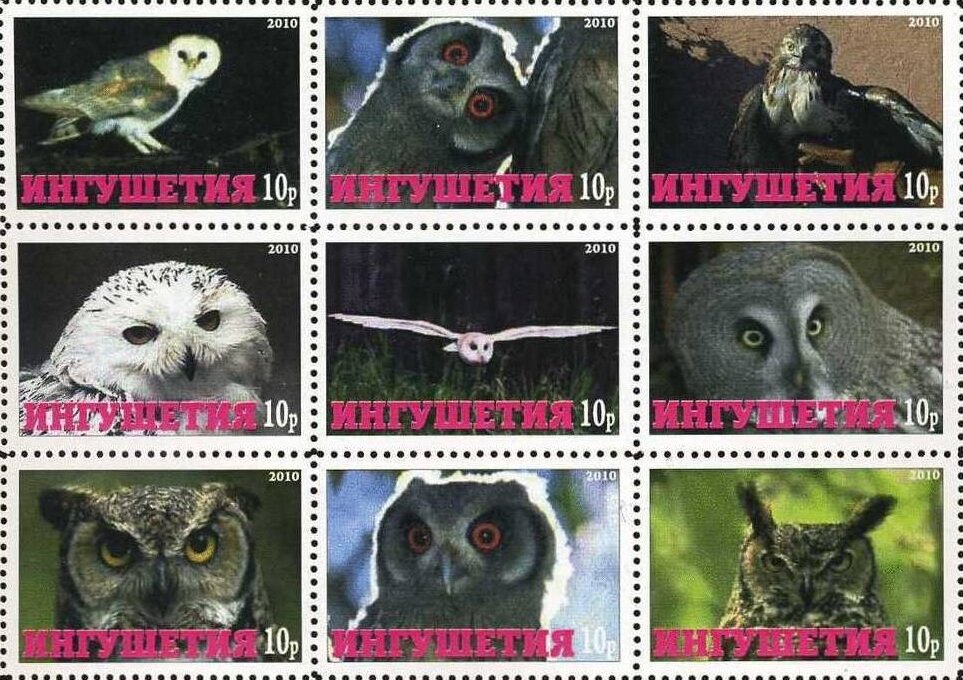 Owls