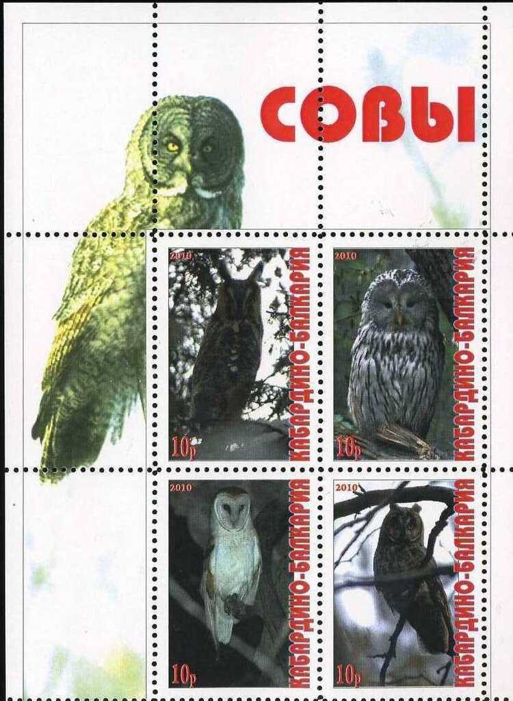Owls