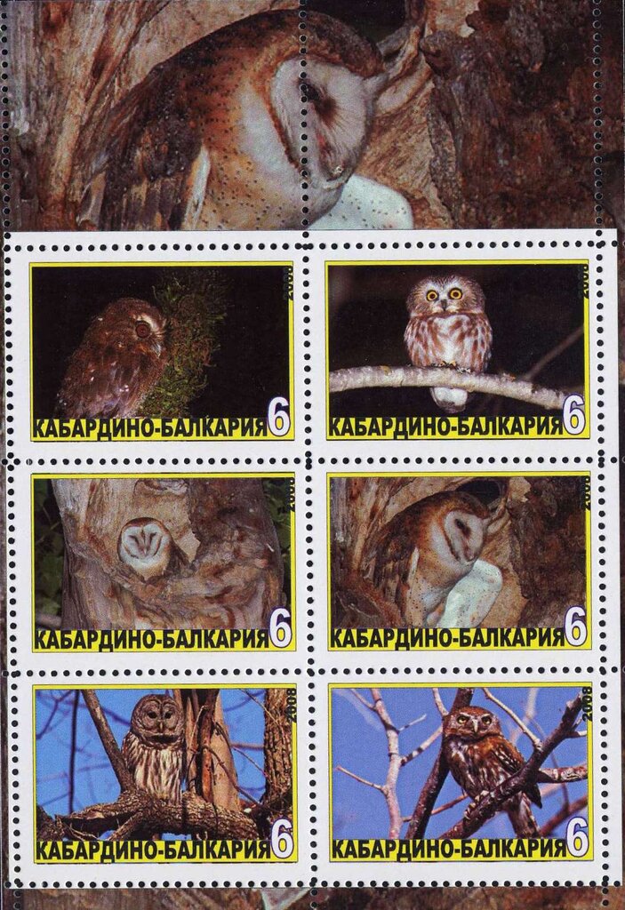 Owls