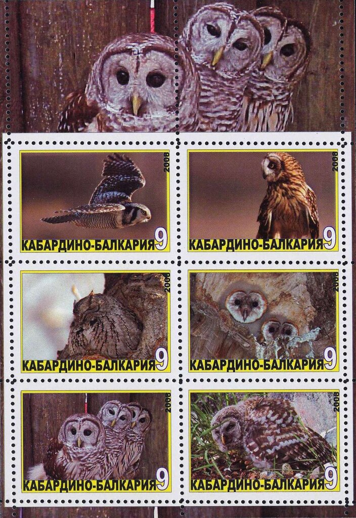 Owls