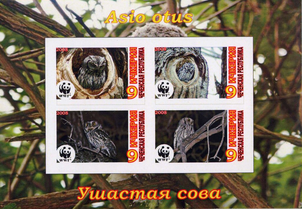 Owls