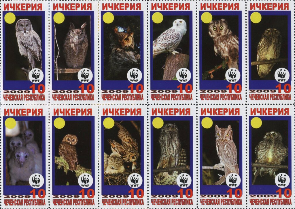 Owls