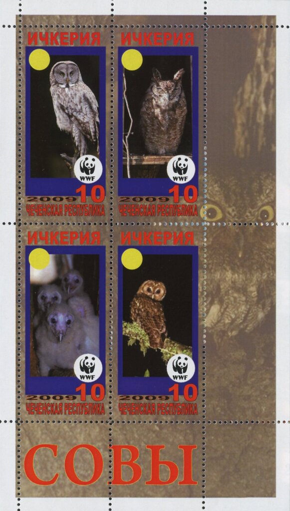 Owls