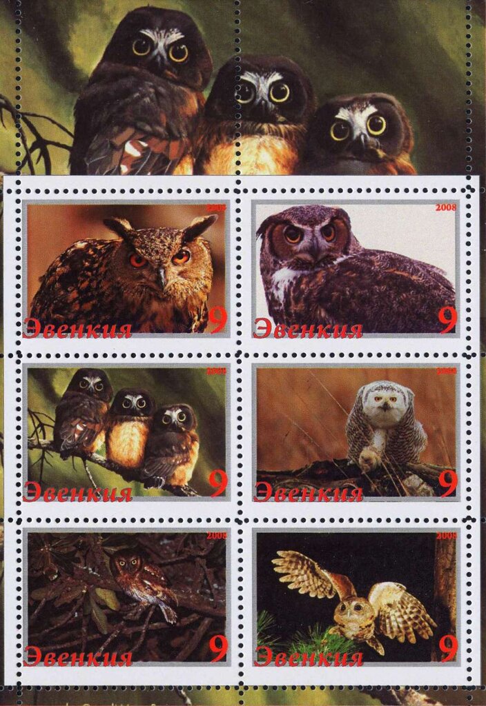 Owls