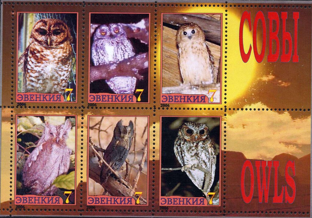 Owls