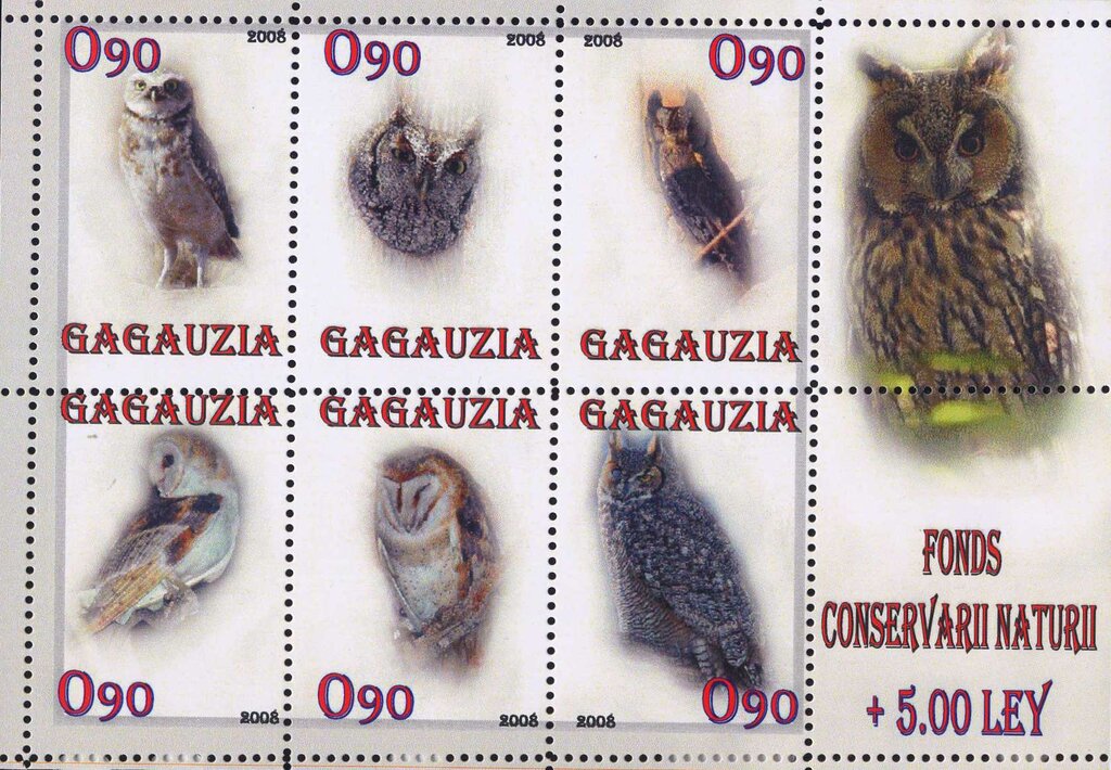 Owls