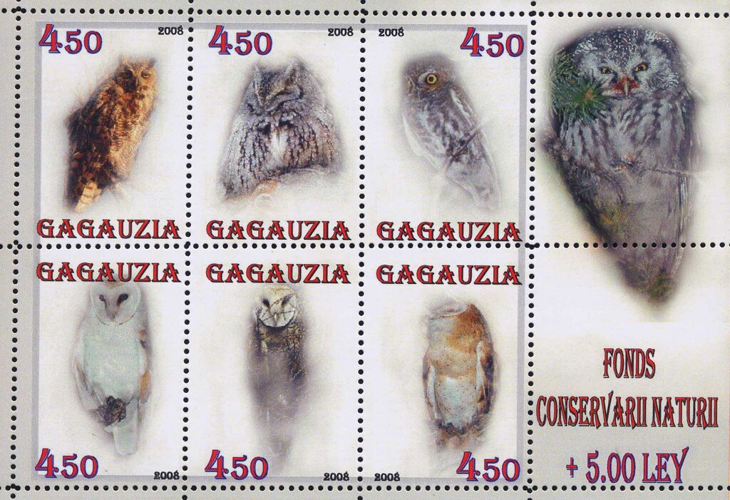 Owls