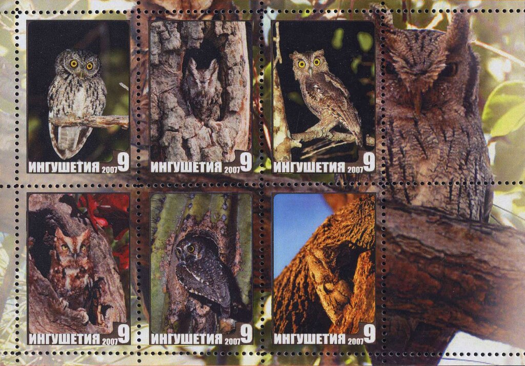 Owls