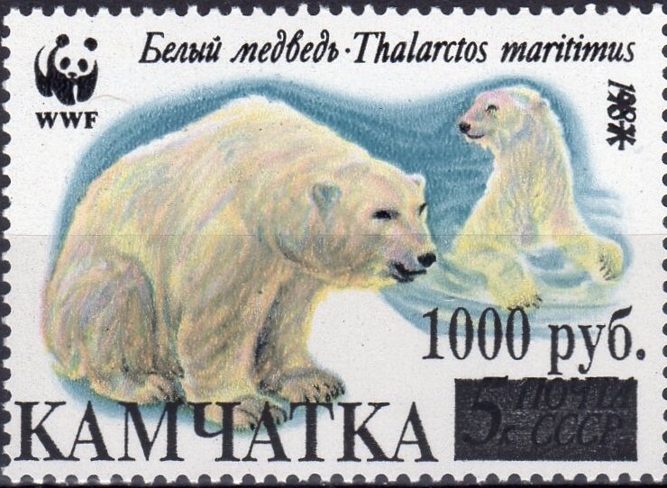 Polar Bears