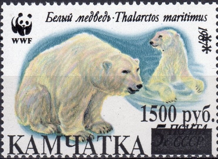 Polar Bears