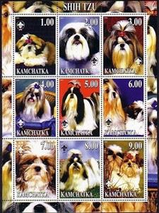 Mini Sheet, Shih Tzu, Cinderellas,  , Animals (Fauna), Dogs, Mammals