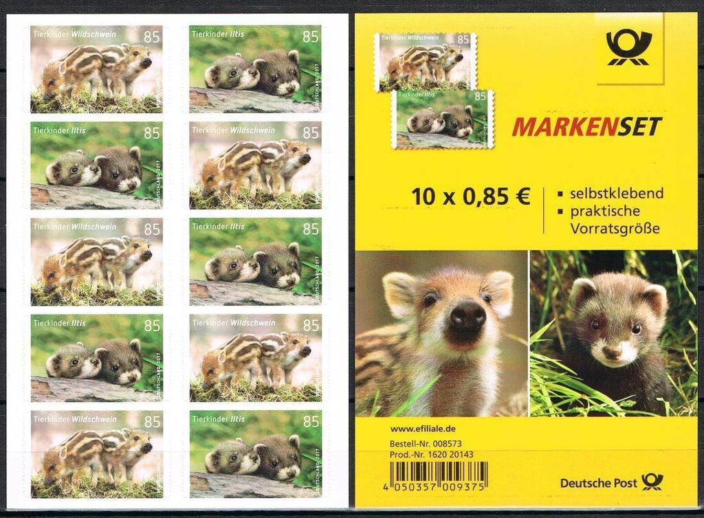 Wild boar (Sus scrofa)-European Polecat (Mustela putorius)