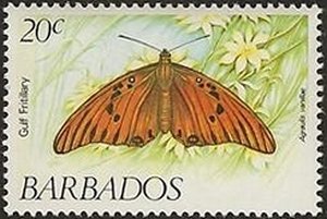 Gulf Fritillary (Agraulis vanillae)