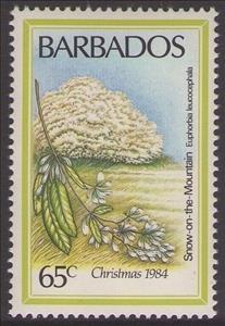 Stamp, Snow on the Mountain, Barbados,  