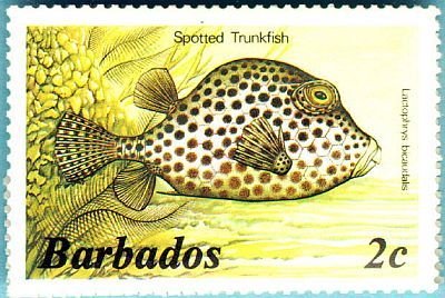 Stamp, Spotted Trunkfish (Lactophrys bicaudalis) , Barbados,  