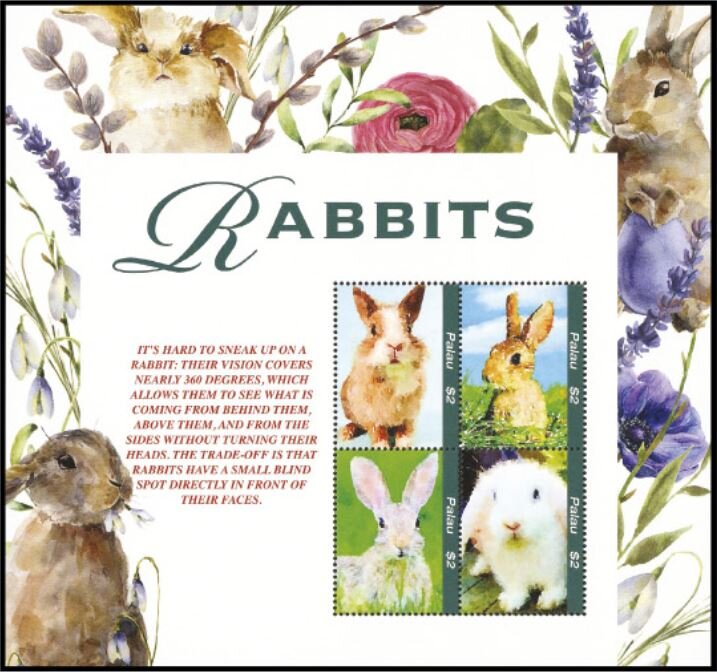 Rabbits