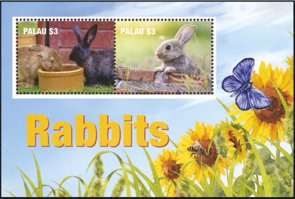 Rabbits