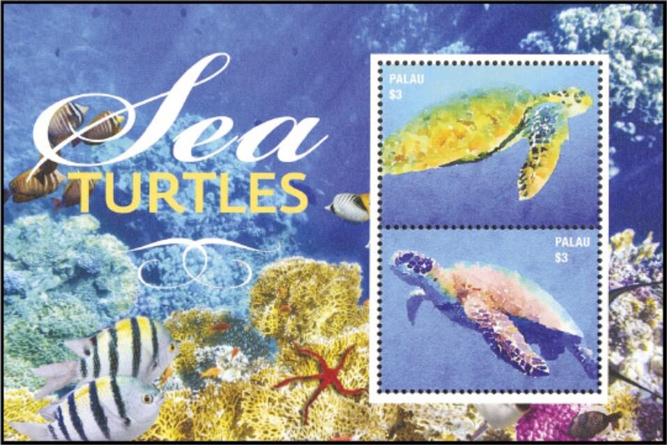 Turtles of the Sea