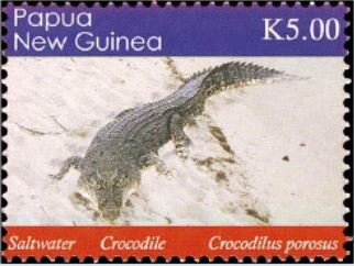 Crocodilus porosus
