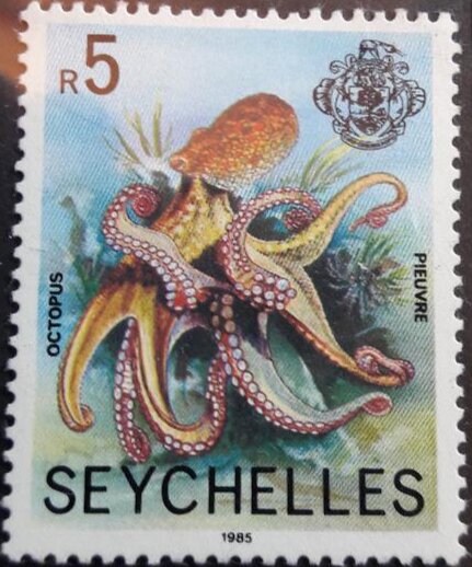 Octopus