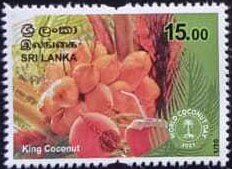 King Coconut