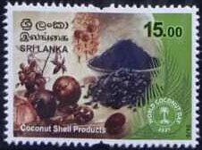 Products Made from Coconut Shell