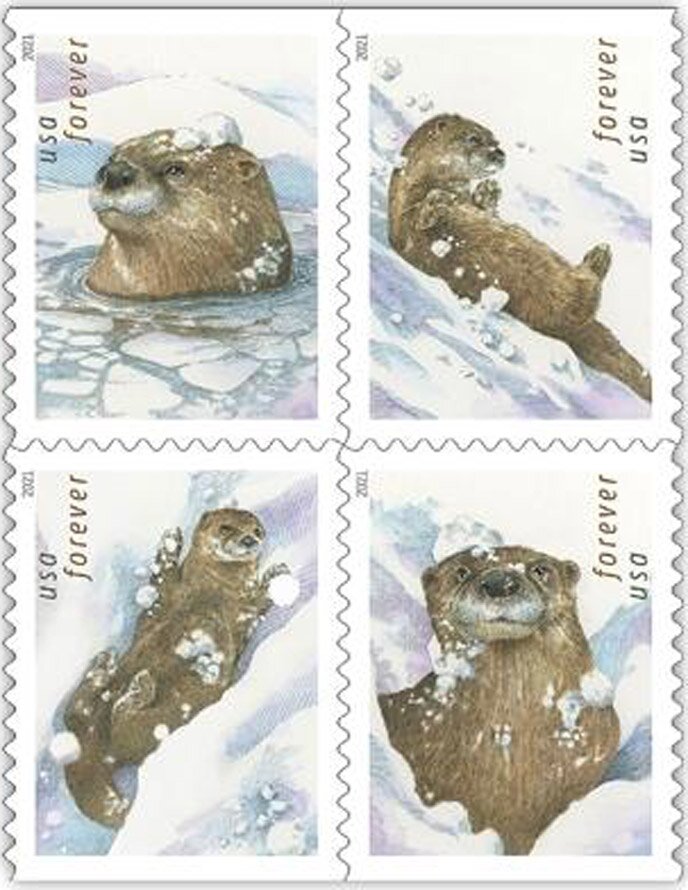 Otters in the Snow