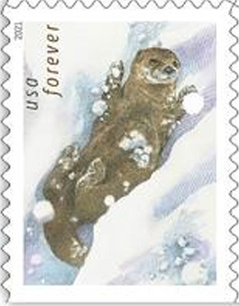 Otters in the Snow