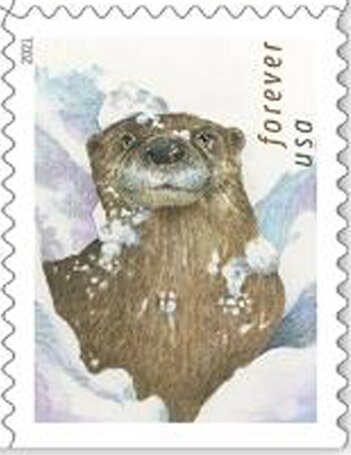 Otters in the Snow