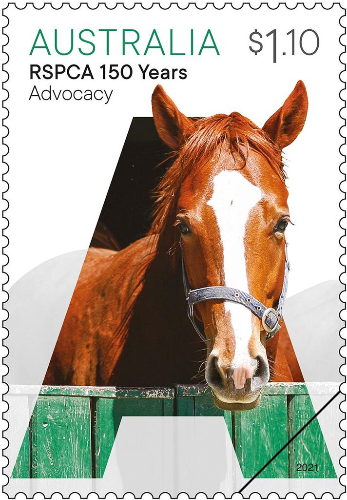 Advocacy : Horse