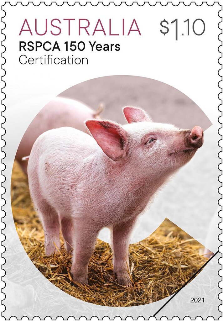 Certification : Pig