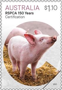 Stamp, Certification : Pig, Australia,  , Animals (Fauna), Mammals, Pigs