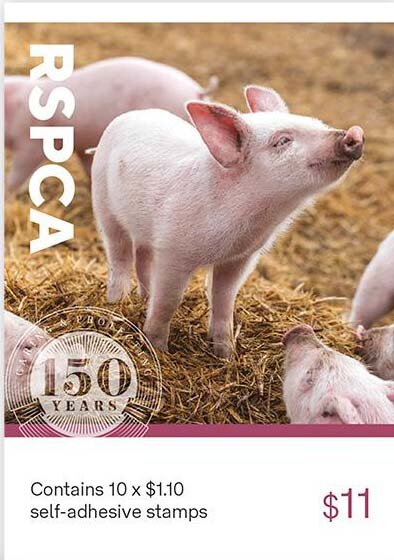 Certification : Pig