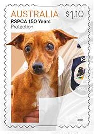 Stamp, Protection : Dog, Australia,  , Animals (Fauna), Dogs, Mammals