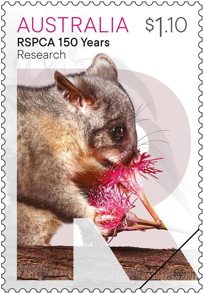 Research : Possum