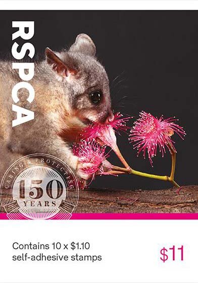 Research : Possum
