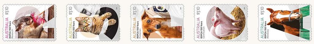 Royal Society To Prevent Cruelty To Animals, 150 Years