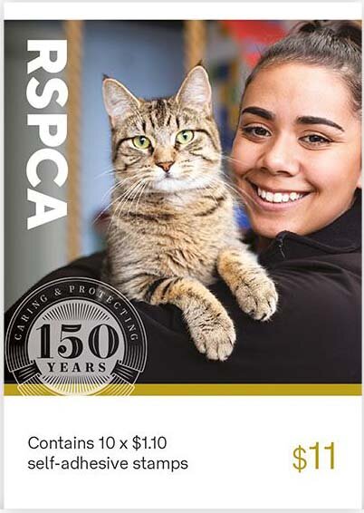 Shelter : Cat